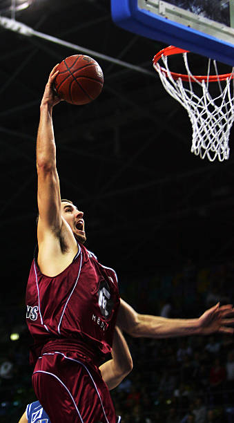 谢什科的背 谢什科的背